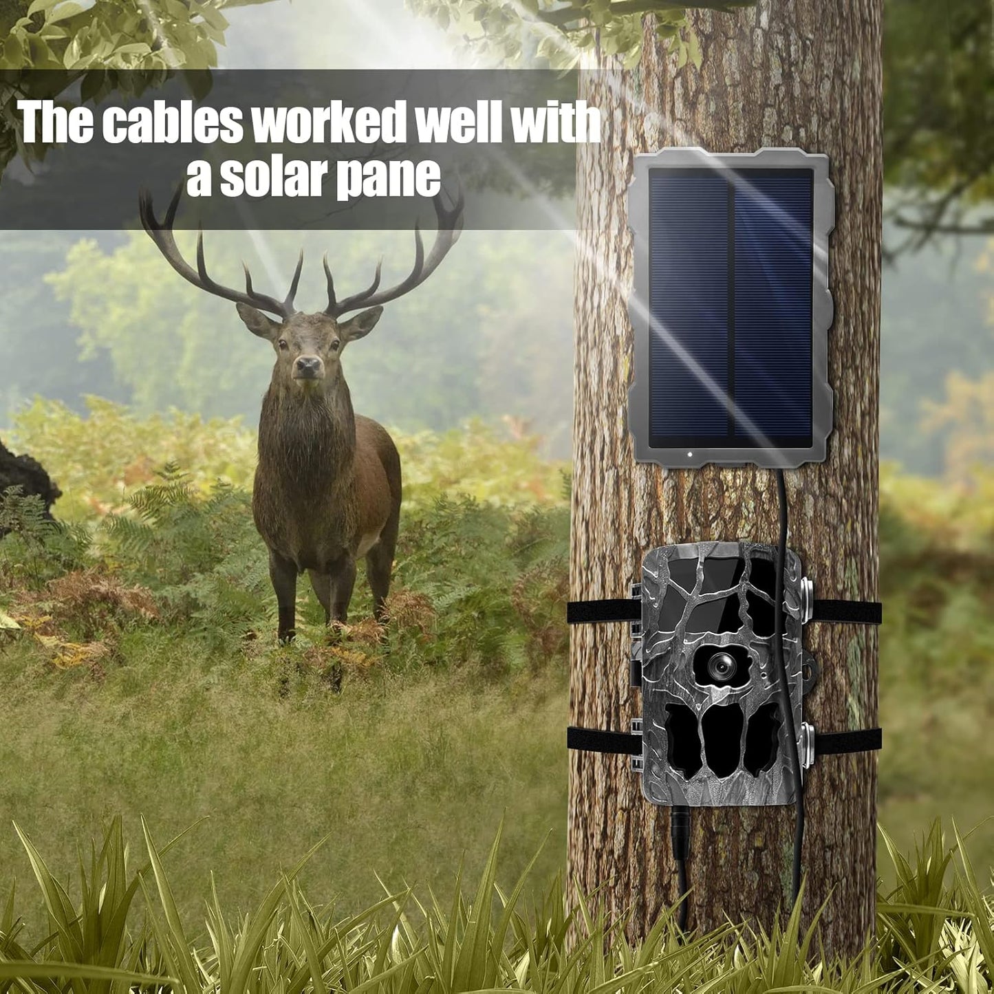 Yoizyfree 2 Cord,4.0x1.7mm 4.0x1.7mm PCS Trail Camera Power DC External Power Cable Compatible with Tactacam Reveal X