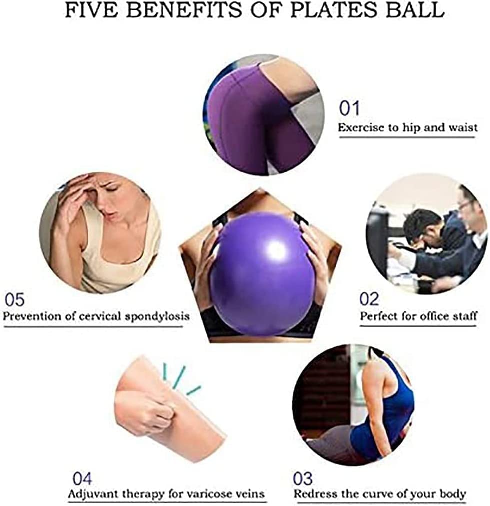 XIECCX Mini Yoga Balls 6 Inch Exercise Pilates Therapy Balance Micropore Ball Barre Equipment for Home Stability Training Physical Core Training with Pump(Purple)