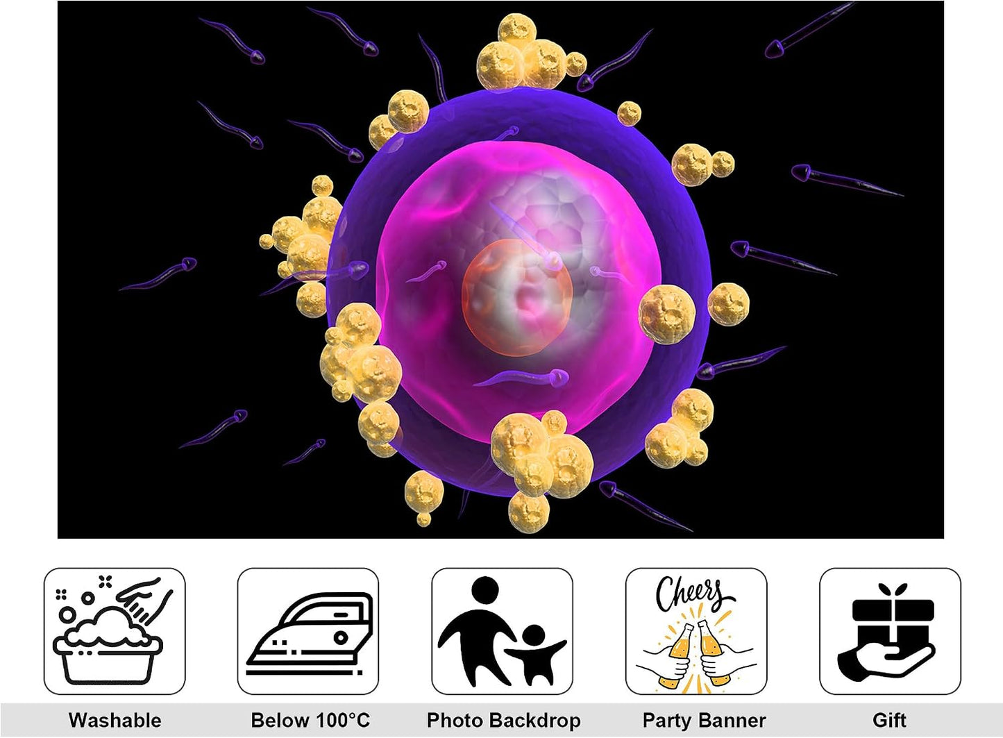KeyWork 7x5ft Human Egg Cell Fertilization Backdrop Reproductive Science Photography Background for Health Fair