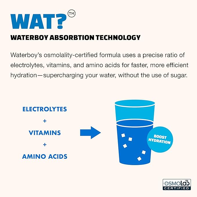Waterboy Weekend Recovery Sample Pack | 3,200mg Electrolyte Powder Packets | Ginger + L-Theanine + Vitamins | No Sugar, All Natural, Gluten Free | 12 Drink Stick Mixes (Sample Pack)