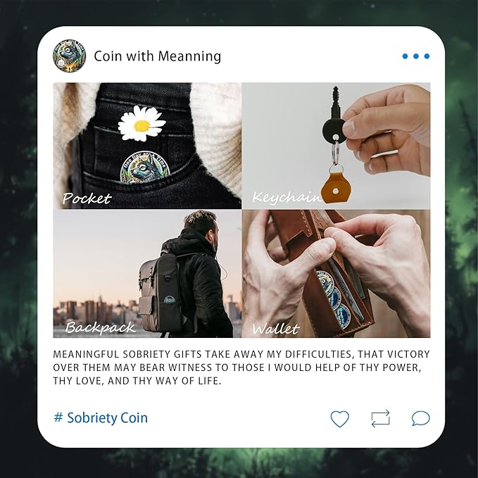 One Day at a Time 28 Year Sobriety Coin - Recovery Aurora Forest Wolf AA Coins - Addiction NA AA Chips and Medallions - Celebrate 1-30 Living Clean Narcotics Alcoholics Anonymous Gifts for Men Women