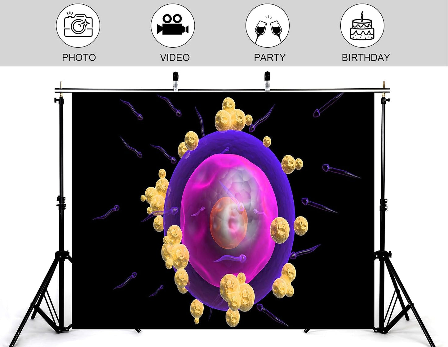KeyWork 5x4ft Human Egg Cell Fertilization Backdrop Reproductive Science Photography Background for Health Fair