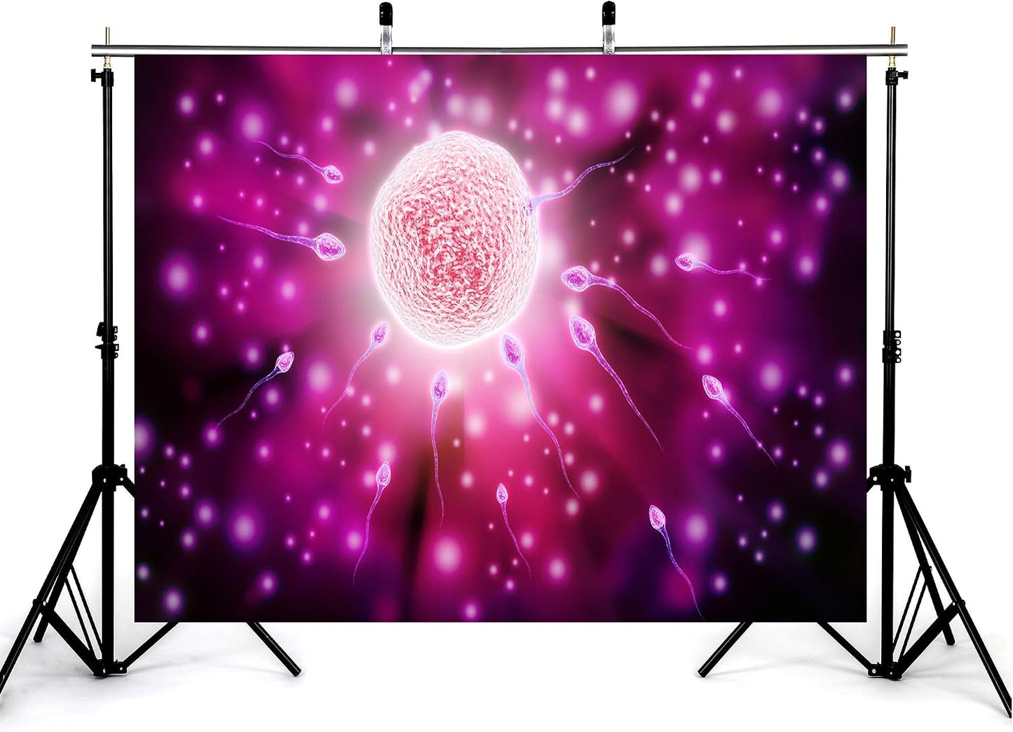 KeyWork 7x7ft Fertilization Science Illustration Backdrop Reproductive Biology Photography Background for Health Fair