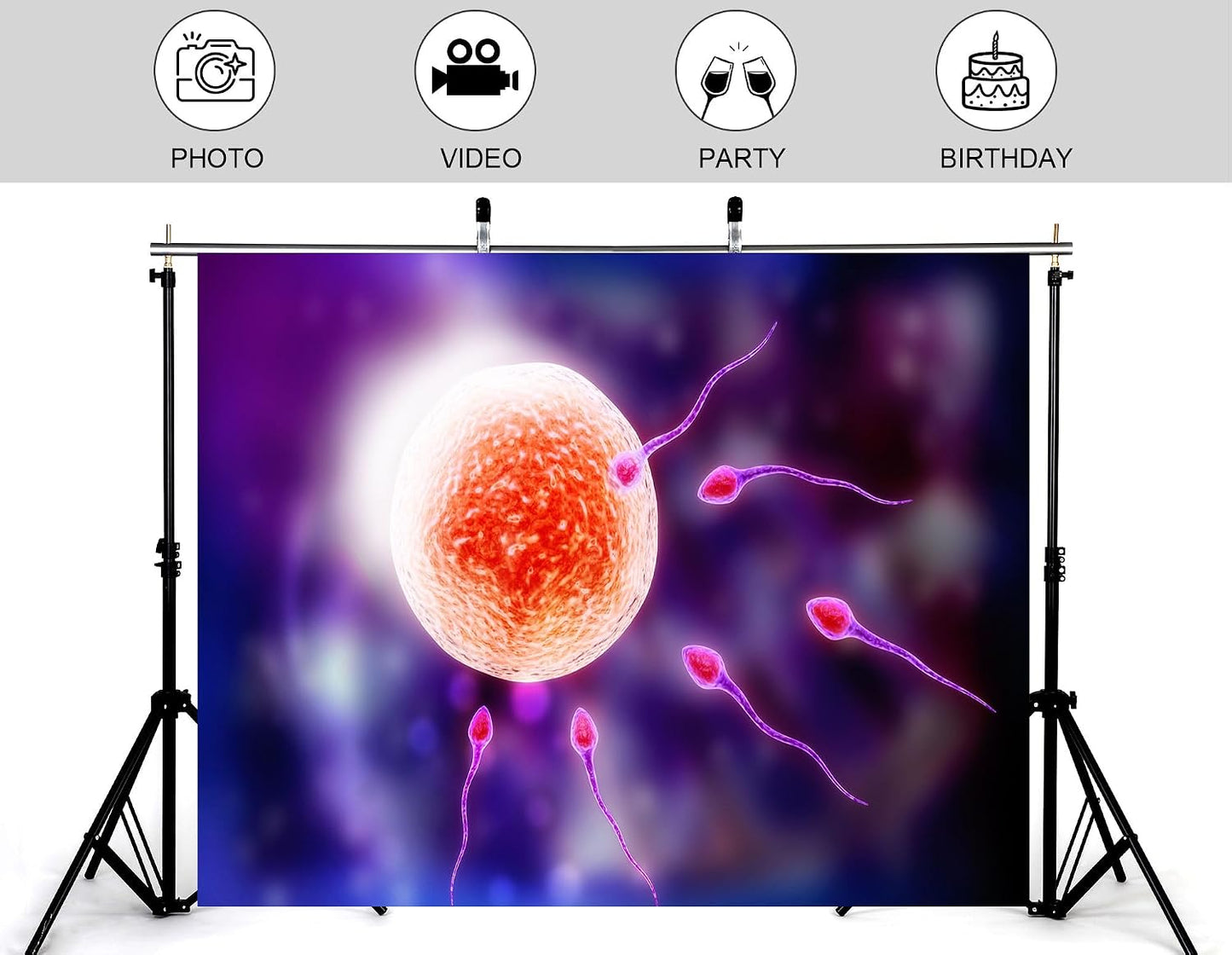 KeyWork 5x3ft Human Fertilization Illustration Backdrop Reproductive Science Photography Background for Health Fair