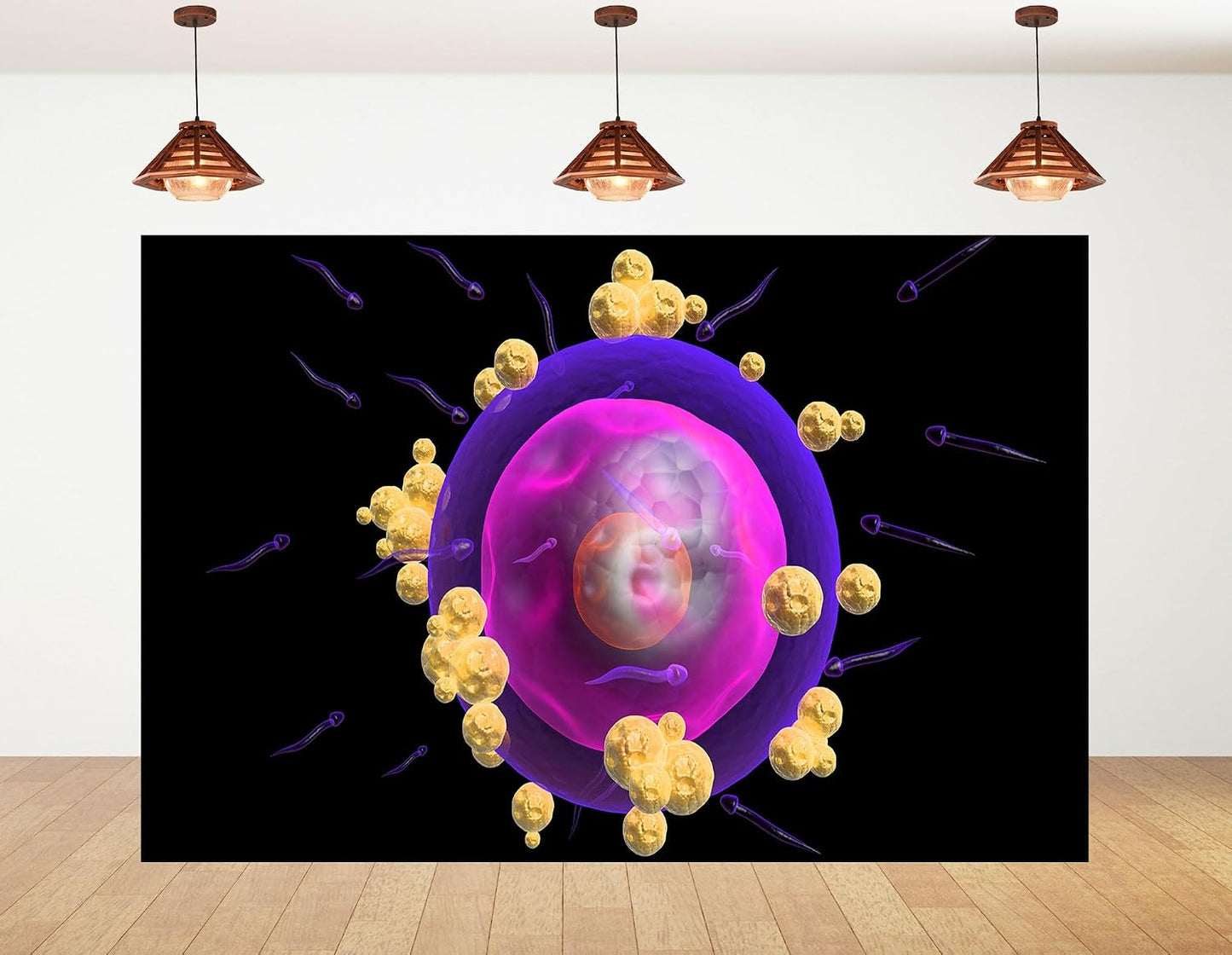 KeyWork 7x7ft Human Egg Cell Fertilization Backdrop Reproductive Science Photography Background for Health Fair