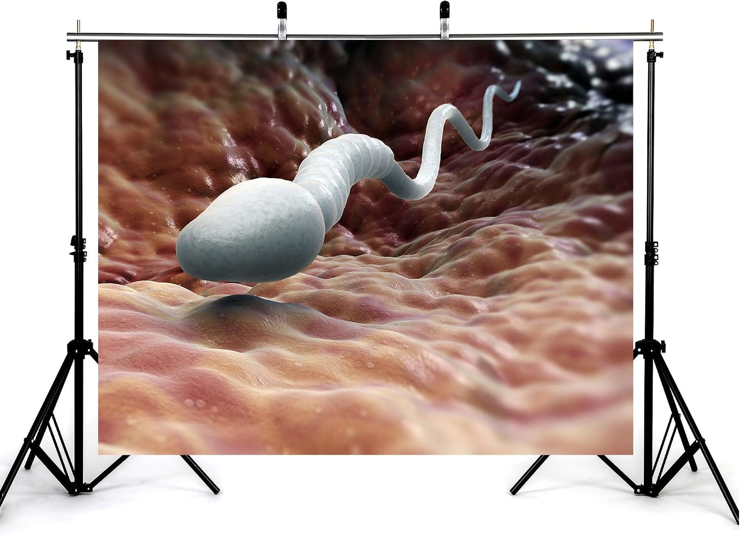 KeyWork 5x4ft Sperm Cell Backdrop Microscopic Reproductive Tissue View Photography Background for Medical Conference