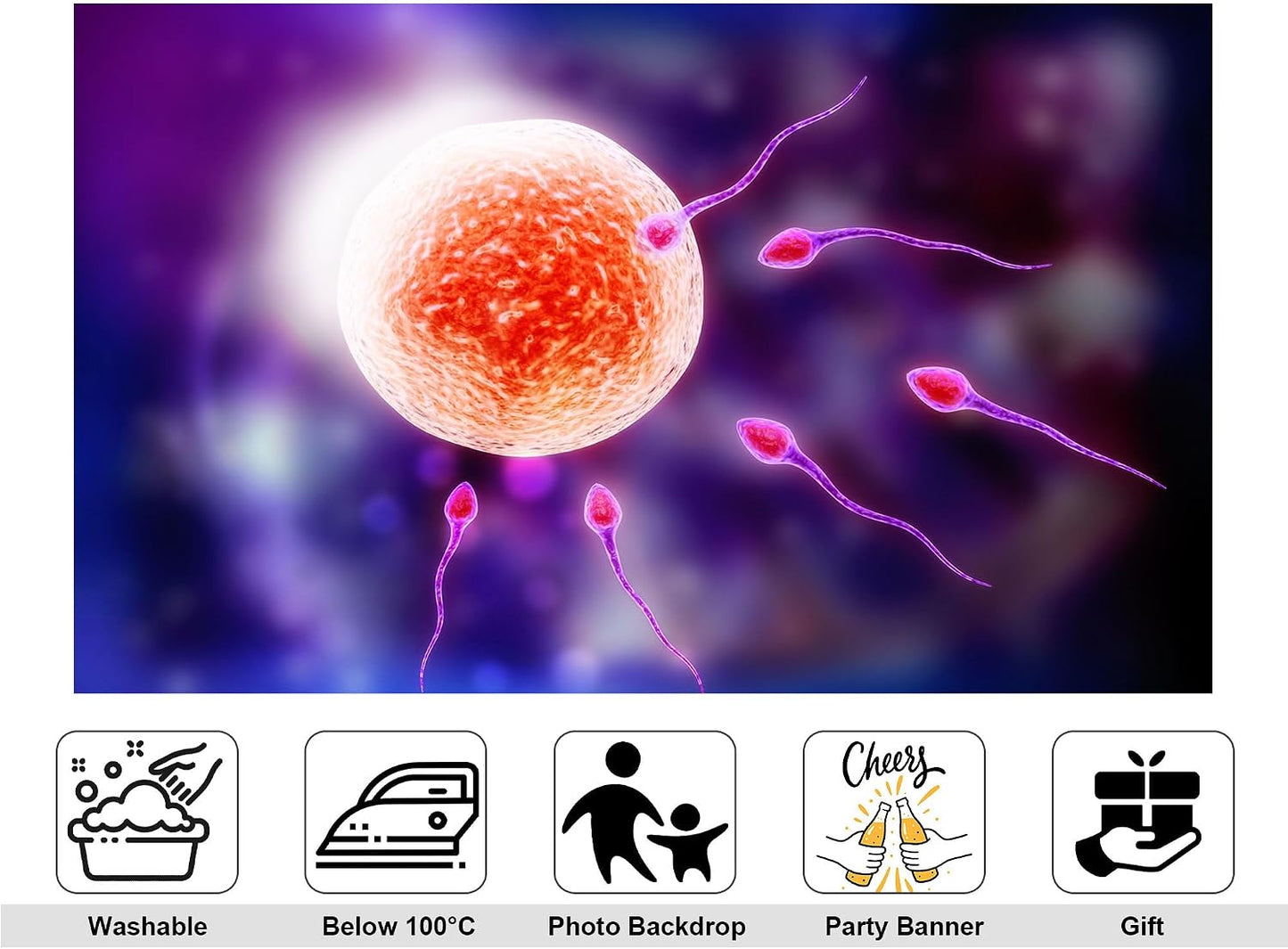 KeyWork 6x6ft Human Fertilization Illustration Backdrop Reproductive Science Photography Background for Health Fair