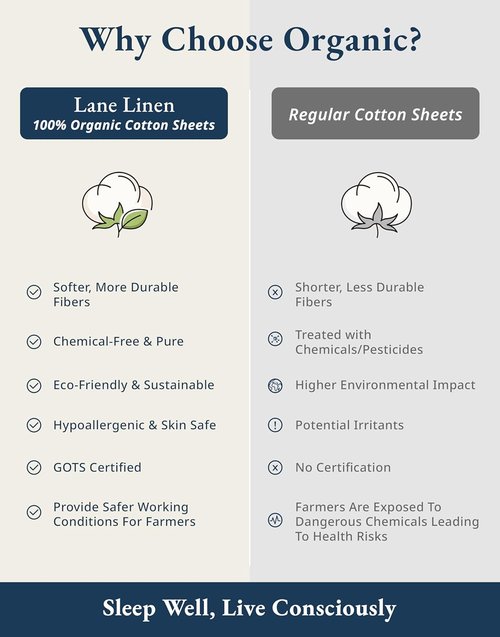 LANE LINEN Twin Bed Sheets - 100% Organic Cotton, Hotel Quality, 3-Piece Set, Glacier Grey