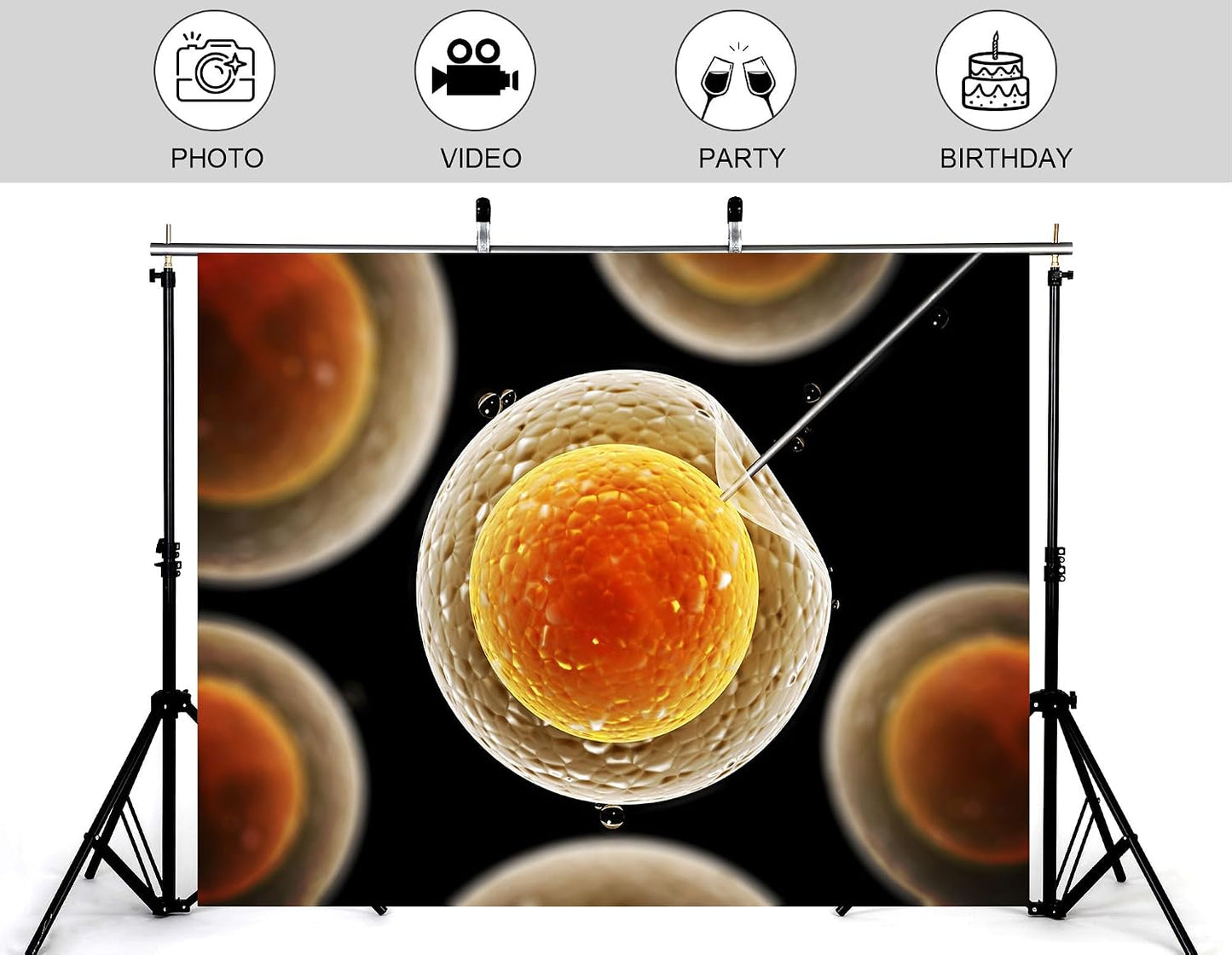 KeyWork 7x5ft Egg Cell Fertilization Backdrop Reproductive Medical Photography Background for Science Fair Health Event