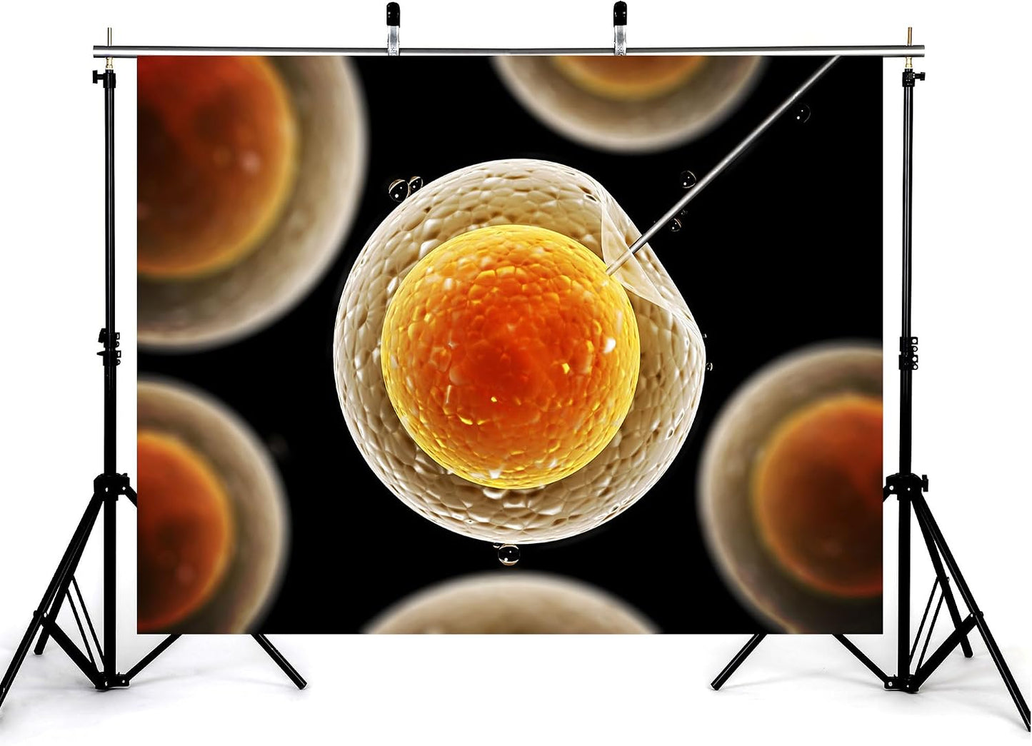 KeyWork 8x5ft Egg Cell Fertilization Backdrop Reproductive Medical Photography Background for Science Fair Health Event