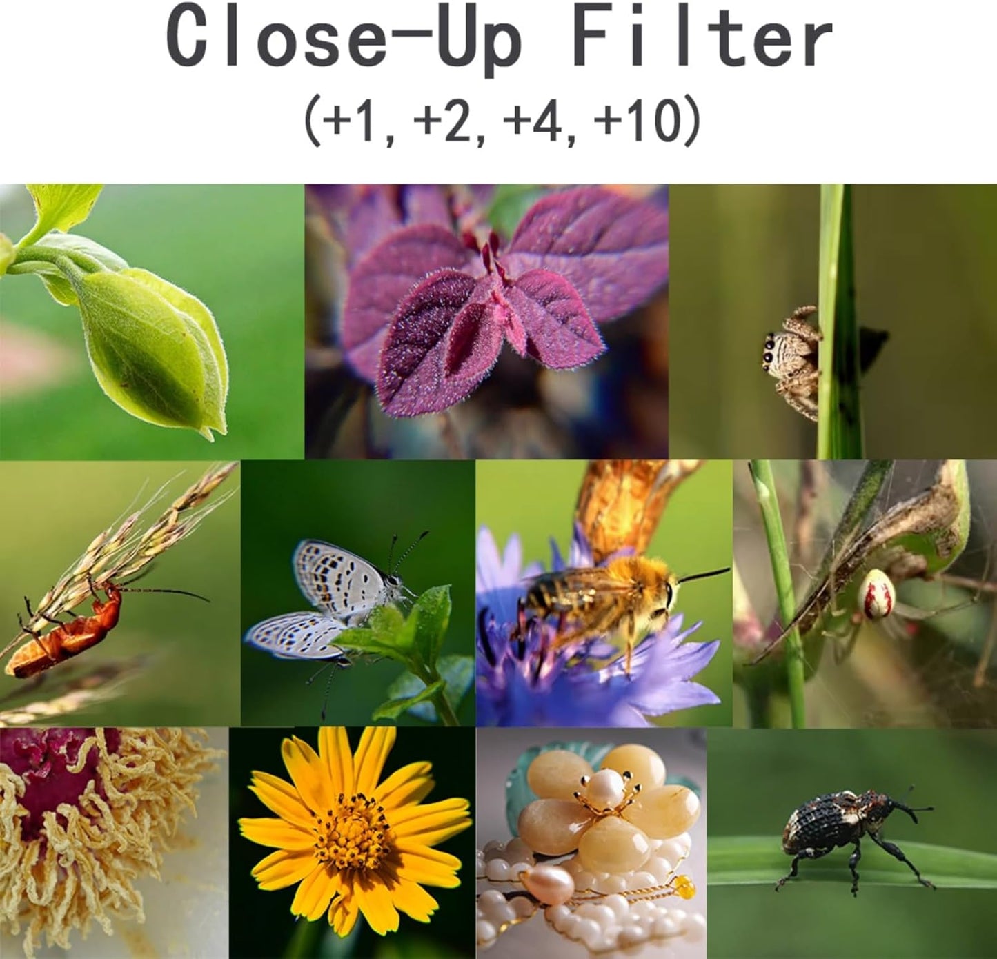 YOFOTIXAUU 67mm 4 (+1 +2 +4 +10) Set, (67mm) Close-Up Lens Filters Kit Pieces Macro Filter Lens Cap & Cleaning Cloth