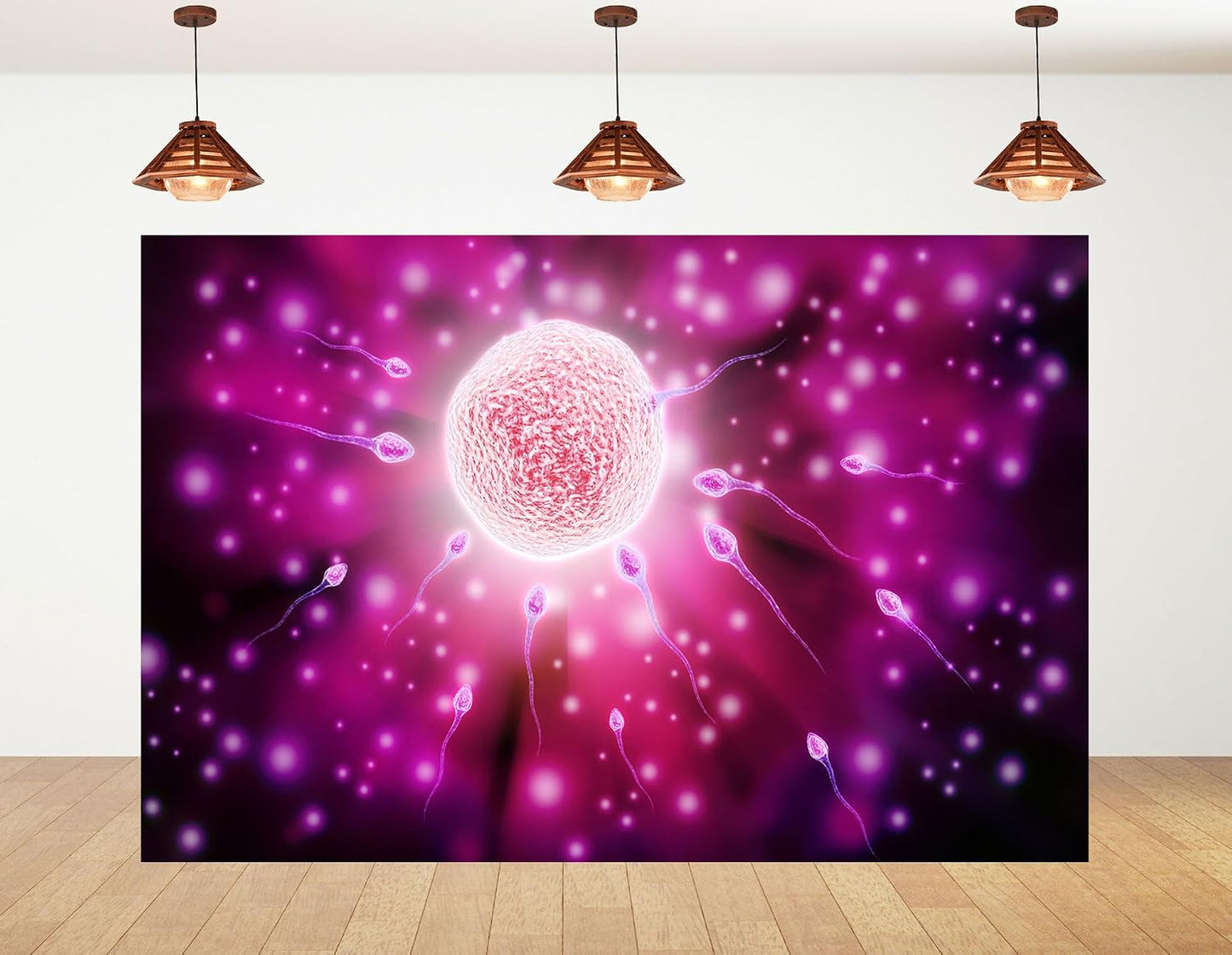 KeyWork 9x6ft Fertilization Science Illustration Backdrop Reproductive Biology Photography Background for Health Fair