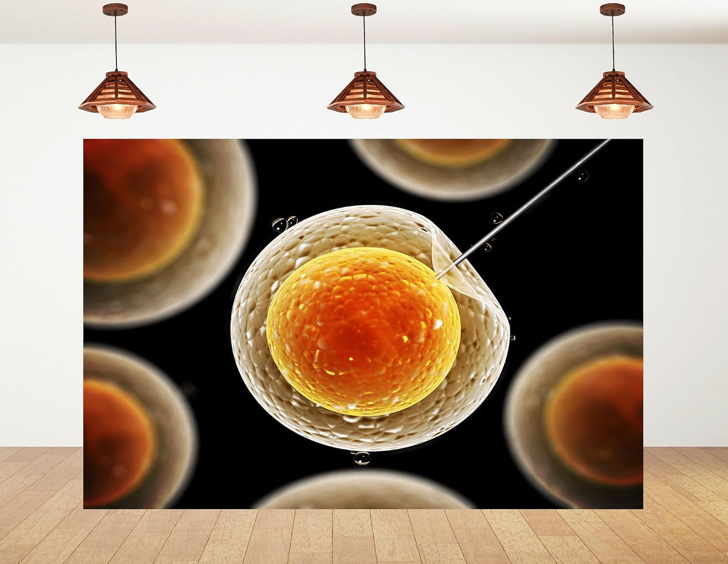 KeyWork 8x6ft Egg Cell Fertilization Backdrop Reproductive Medical Photography Background for Science Fair Health Event