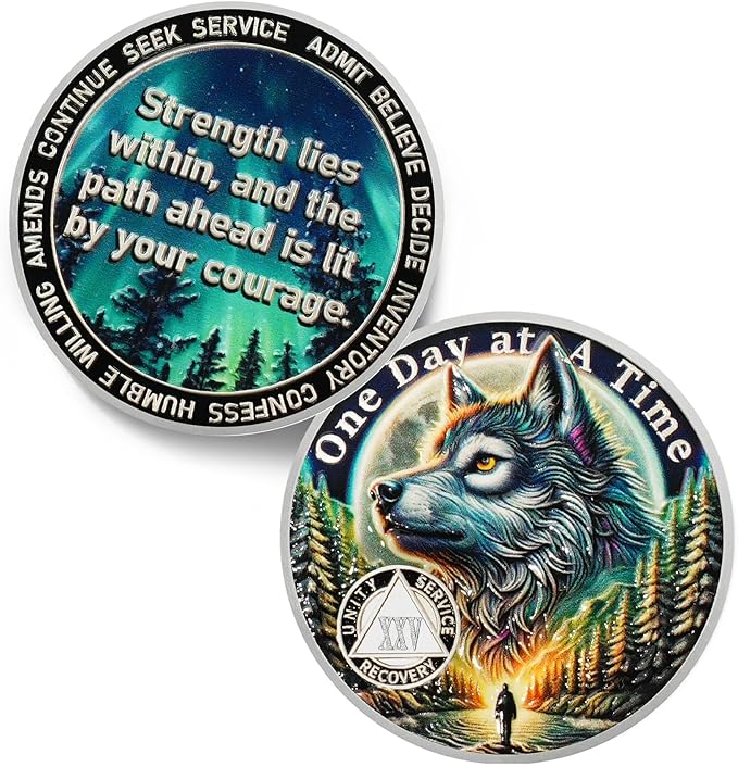 One Day at a Time 25 Year Sobriety Coin - Recovery Aurora Forest Wolf AA Coins - Addiction NA AA Chips and Medallions - Celebrate 1-30 Living Clean Narcotics Alcoholics Anonymous Gifts for Men Women