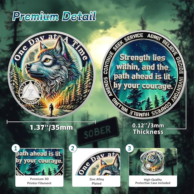 One Day at a Time 10 Year Sobriety Coin - Recovery Aurora Forest Wolf AA Coins - Addiction NA AA Chips and Medallions - Celebrate 1-20 Living Clean Narcotics Alcoholics Anonymous Gifts for Men Women