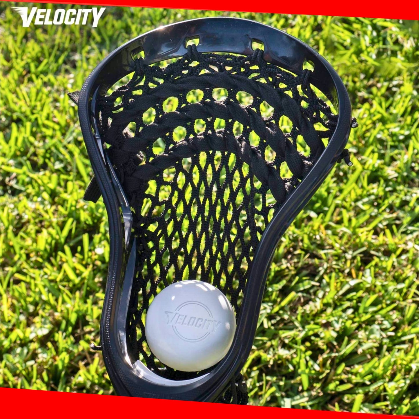 Velocity Practice Lacrosse Balls - 1, 2, 3, 6, 12, 18, 24, 36, 60 and 120 Packs - Official Size and Weight - Purple