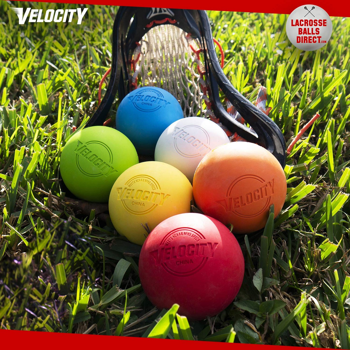 Velocity Practice Lacrosse Balls - 1, 2, 3, 6, 12, 18, 24, 36, 60 and 120 Packs - Official Size and Weight - Purple