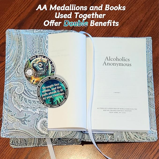 One Day at a Time 19 Year Sobriety Coin - Recovery Aurora Forest Wolf AA Coins - Addiction NA AA Chips and Medallions - Celebrate 1-30 Living Clean Narcotics Alcoholics Anonymous Gifts for Men Women