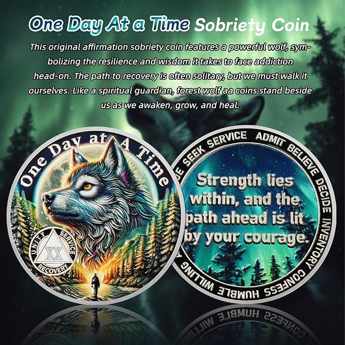 One Day at a Time 20 Year Sobriety Coin - Recovery Aurora Forest Wolf AA Coins - Addiction NA AA Chips and Medallions - Celebrate 1-30 Living Clean Narcotics Alcoholics Anonymous Gifts for Men Women
